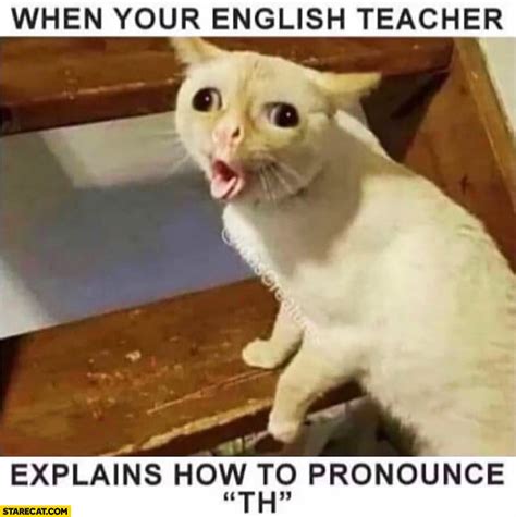 English Memes