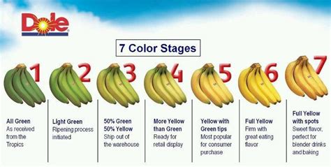 7 Stages Of Bananas Green Tips Fun Snacks Grilling Tips