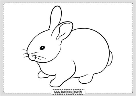 Dibujos De Conejos Para Colorear Rincon Dibujos