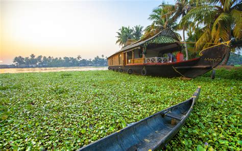 The 8 Best Things To Do In Kerala 2020 Akbar Travels Blog