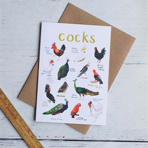 Cocks Illustrated Bird Pun Card By Sarah Edmonds Illustration