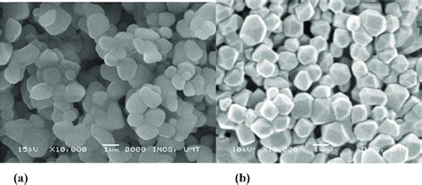 Scanning Electron Microscopy Images Of Free Liposomes Fl A And