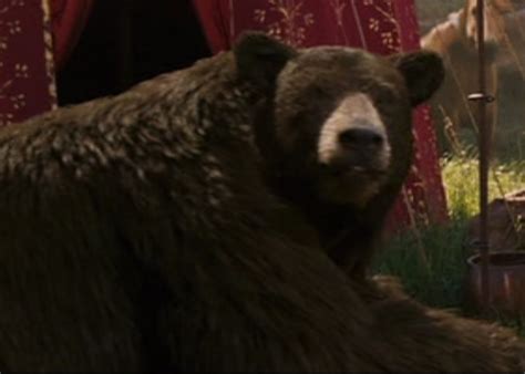 Bear The Chronicles Of Narnia Wiki Fandom Powered By Wikia