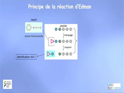 Trilogique Sem Structure Des Prot Ines M Thode De D Termination De La