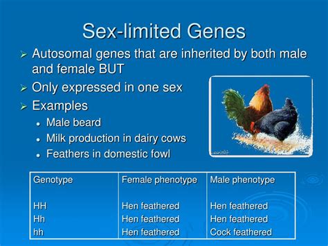 Ppt Exceptions To Mendelian Inheritance Powerpoint Presentation Free Download Id329307