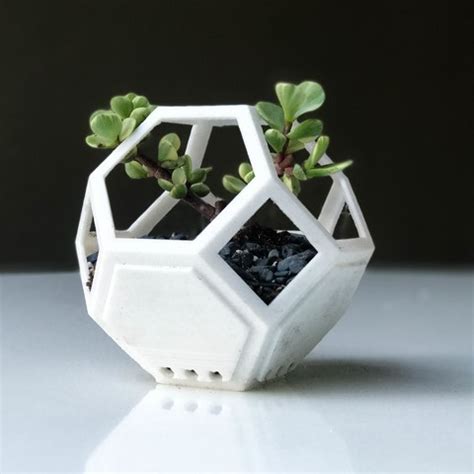 Check spelling or type a new query. Download free STL file Plantygon - Modular Geometric ...