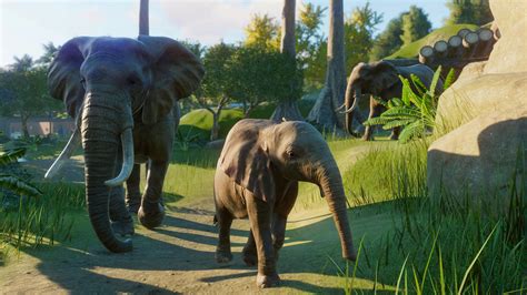 Planet Zoo Deluxe Edition Whats Included Fanatical Blog