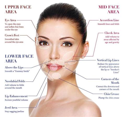 Dermal Fillers Your Complete Skincare Guide FAQs MedMD