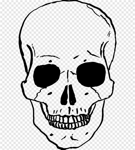 Skull Human Skeleton Drawing Tengkorak Wajah Monokrom Png Pngegg