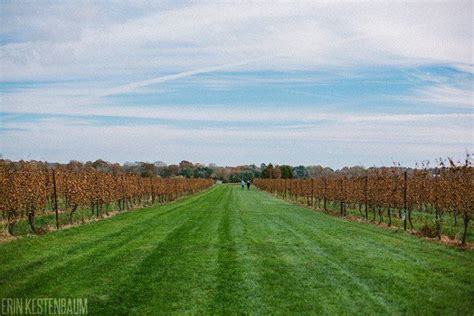 These 12 Beautiful Wineries In Connecticut Are A Must Visit For