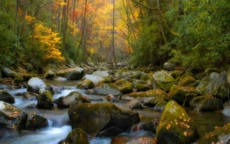 Desktop wallpapers, hd backgrounds sort wallpapers by: creek pictures - HD Desktop Wallpapers | 4k HD
