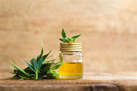 Many cat owners are starting to give their beloved feline friends cbd oil to provide relief for a variety of ailments and diseases such. CBD Oil For Cancer - Control Cancerous Growth | How To Cure