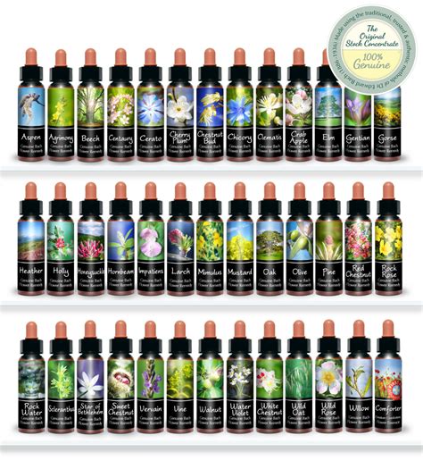 Bach Flower Remedy Complete Sets And Kits Bach Flower Remedy Ts