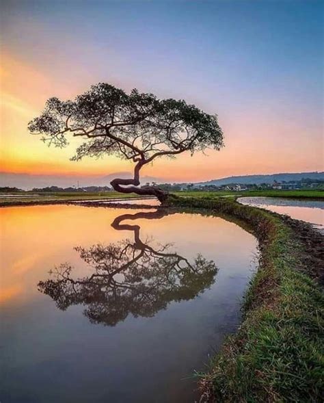 Fotos Maravilhosas Imagens Lindas