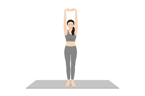 Palm Tree Pose Urdhva Hastasana Upward Hand Stretch Pose Upward Salute