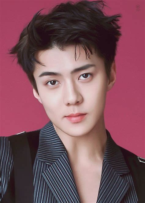 Exo sehun making friends with fish is the new aesthetic. Sehun Lookalikes in school~ | allkpop Forums