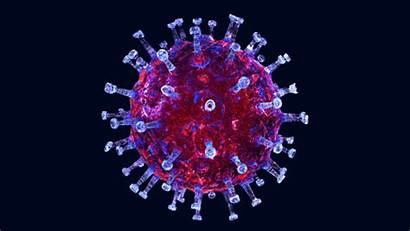 Covid Virus Coronavirus Corona Impact Global