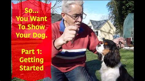 So You Want To Show Your Dog Part 1 Getting Ready Youtube