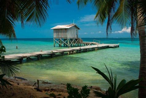 Nature Photography Landscape Caribbean Sea Dock Hut Beach Palm