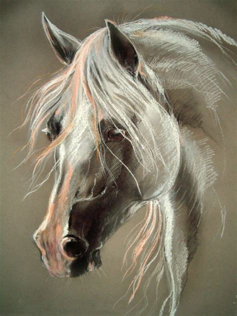 Soft Pastels Of A Beautiful Horses Head Soft Pastel Art Oil Pastel