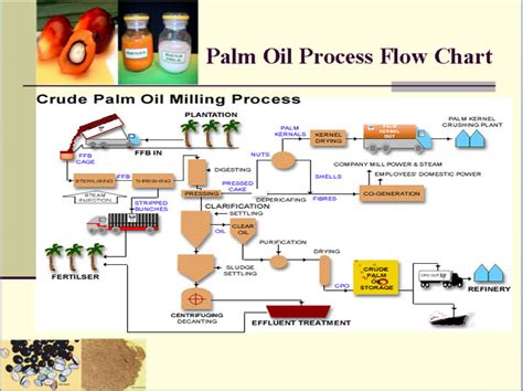 Henan huatai cereals and oils machinery co.,ltd email: Palm Oil Mill Processing For Malaysia/indoneisa/nigeria ...