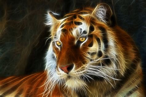 Download and use 30,000+ 3d wallpaper stock photos for free. tiger, 3d, Art, Fractal Wallpapers HD / Desktop and Mobile ...