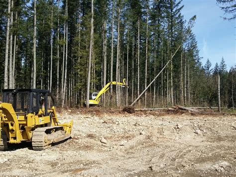 Washington Logging Company Timber Buyer Trucking Trees Harvesting
