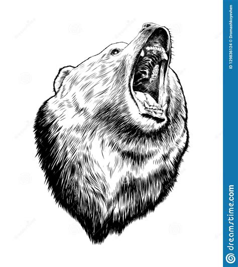 Hand Drawn Sketch Of Bear In Black Isolated On White Background