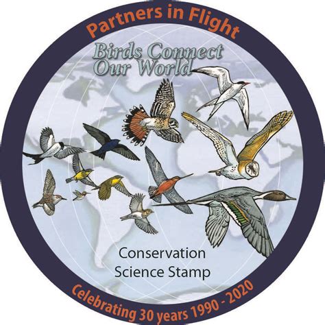 We did not find results for: 2020 Federal Duck Stamp Available - NC Partners in Flight