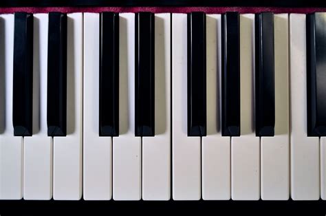 Ein elektronisches klavier (klavier, bei dem die. File:Piano Keyboard.jpg - Wikimedia Commons