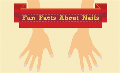 Fun Facts About Nails Infographic Visualistan