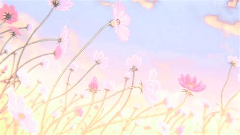 More images for anime gif wallpaper aesthetic » innocent | Anime flower, Aesthetic anime, Anime scenery