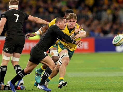All wallabies are marsupials or pouched mammals. Bledisloe Cup: All Blacks y Wallabies empataron en ...