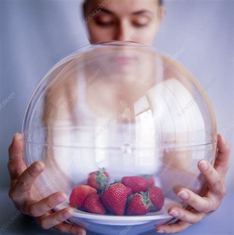 Strawberry Allergy Stock Image M3200362 Science Photo Library