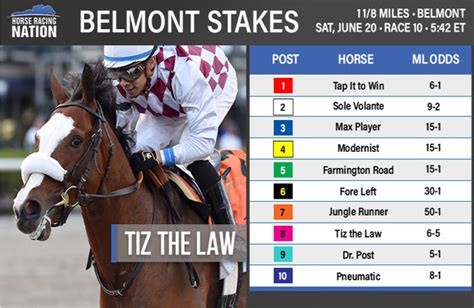 The new york racing association, inc. Belmont Stakes 2020: Odds, Picks & Free PPs
