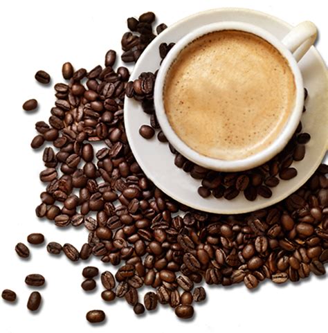 Coffee Png Hd Transparent Coffee Hdpng Images Pluspng