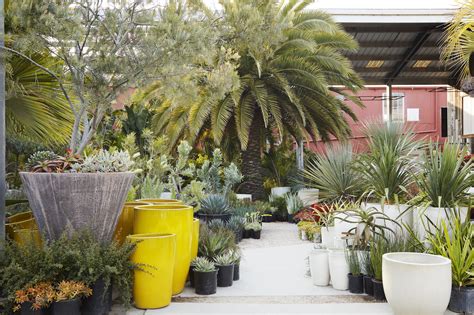 Visit Our Store — Flora Grubb Gardens