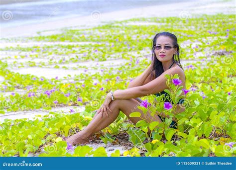 Woman Pretty With Bikini And Green Nature On Beach Stock Image Image Of Ocean Holiday 113609331