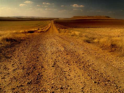 Dirt Road In The Desert Stock Photo Image Of Empty Desert 5556816