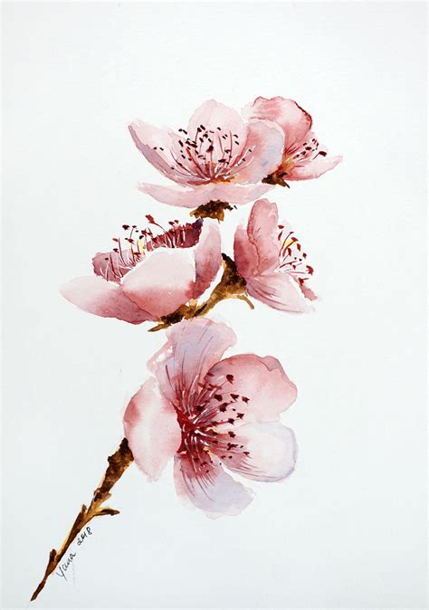 We did not find results for: How to paint Cherry Blossom in Watercolor: step by step ...