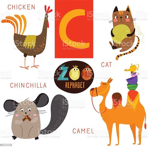 Cute Zoo Alphabet In Vectorc Letter Funny Cartoon Animals Stock