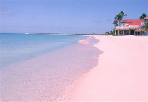 Top 10 Pink Beaches In The World Pink Sand Beach Holidayrider