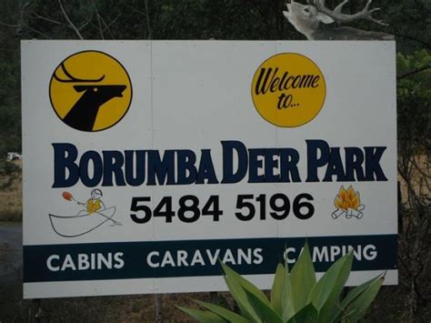 Borumba Deer Park Cp Full Range Camping Directory