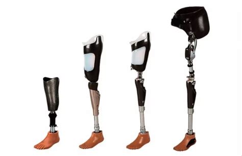 Alt Ekstremite Protezleri Ve Uygulama Kariyer Ortopedi