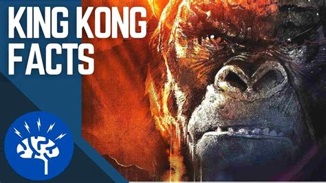 King Kong Facts - FACT FOR LIFE