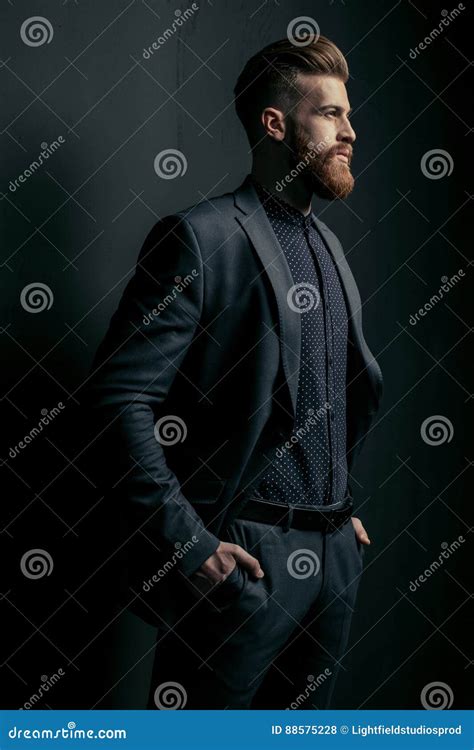Stylish Handsome Bearded Man Stock Photo Image Of Adult Sensuality