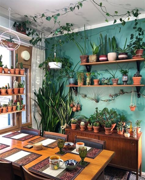 Hello Plant Lover On Instagram Dining Area Who Says The Shelfies In