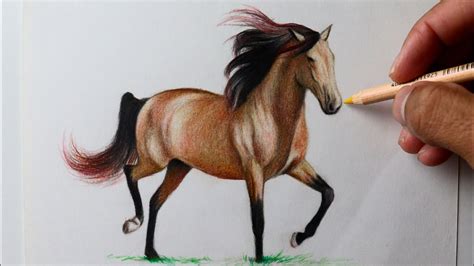 Total Imagem Imagens De Desenhos De Cavalos Br Thptnganamst Edu Vn