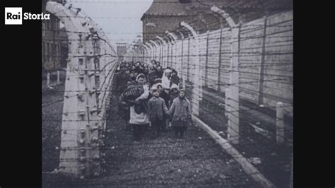 Su Rai Storia Canale I Testimoni Di Auschwitz Quindici Racconti Di Vita Dai Campi Di