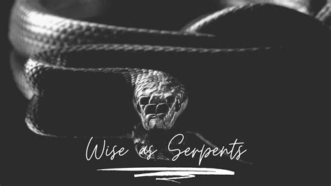 Wise As Serpents Anthony Wynn Ministries